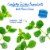 Bigelow® Peppermint Herbal Tea Bags Perspective: left