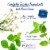 Bigelow® Sweet Dreams® Caffeine Free Herbal Tea Bags Perspective: left