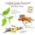 Bigelow® Vanilla Chai Black Tea Perspective: left