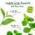 Bigelow® Green Tea with Mint Tea Bags Perspective: left