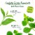 Bigelow® Green Tea with Mint Tea Bags Perspective: left