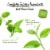 Bigelow® Perfectly Mint Tea Bags Perspective: left