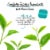 Bigelow® Oolong Tea Bags Perspective: left