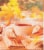 Bigelow® Pumpkin Spice Black Tea Perspective: left