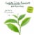 Bigelow® Classic Green Tea Bags Perspective: left
