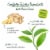 Bigelow® Green Tea with Ginger Plus Probiotics Tea Bags Perspective: left