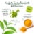 Bigelow Macha Green Tea Bags with Turmeric Perspective: left