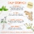 Bigelow Benefits® Calm Stomach Ginger & Peach Caffeine Free Herbal Tea Bags Perspective: left