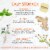 Bigelow Benefits® Calm Stomach Ginger & Peach Caffeine Free Herbal Tea Bags Perspective: left