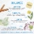 Bigelow® Benefits Cinnamon & Blackberry Herbal Tea Bags Perspective: left