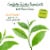 Bigelow® Classic Decaffeinated Green Tea Perspective: left