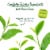 Bigelow Organic Green Tea Bags Perspective: left