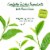 Bigelow® Organic Green Tea Bags Perspective: left