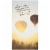 Bigelow Steep Organic Dandelion & Peach Rooibos & Green Tea Perspective: left