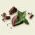 Tillamook Mint Chocolate Chip Ice Cream Perspective: left