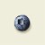 Tillamook Low Fat Oregon Blueberry Greek Yogurt Perspective: left