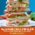 Sara Lee Delightful Honey Whole Wheat Bread Perspective: left