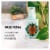 L . Foam Feminine Wash Daily Care Perspective: left