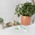 L. Organic Cotton Multipack Light + Regular Tampons Perspective: left