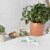 L. Organic Cotton Multipack Light + Regular Tampons Perspective: left