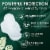 L. Organic Cotton Top Layer Ultra Thin Pads with Wings Regular Absorbency Perspective: left