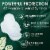 L. Organic Cotton Top Layer Ultra Thin Pads with Wings Overnight Absorbency Perspective: left