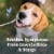 PETARMOR Antihistamine Tablets for Dogs Perspective: left