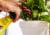 Miracle-Gro Indoor Plant Food Perspective: left