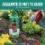 Miracle-Gro Spring Ahead Plant Fertilizer Perspective: left