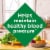 Nature's Bounty Co Q-10 Softgels 100mg Perspective: left