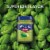 Barilla Creamy Genovese Pesto with Italian Basil Pasta Sauce and Spread Perspective: left