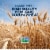 Barilla Ziti Pasta, Quality Non-GMO and Kosher Certified Pasta Perspective: left