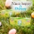 RUSSELL STOVER Easter Bunny Money Solid Milk Chocolate Candy Bar Perspective: left