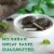 RUSSELL STOVER Sugar Free Dark Chocolate Mint Patties Candy, 2 oz bag Perspective: left