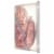 Buddig™ Turkey & Ham Lunchmeat Variety Pack Tub Perspective: left