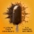 Magnum Double Caramel Ice Cream Bars Perspective: left