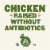Panera Bread Ready-to-Heat Lemon Chicken Primavera Pasta Meal Perspective: left