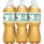 Vernors Zero Sugar Ginger Soda Bottles Perspective: left