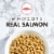 Nutro Wholesome Essentials Salmon Adult Dry Cat Food Perspective: left