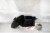 Granite Stone™ Nonstick Dutch Oven Perspective: left