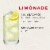 Bacardi Limon Rum Perspective: left