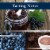 Bogle Vineyards Petite Sirah California Red Wine Perspective: left