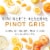 Kendall-Jackson Pinot Gris California Wine Perspective: left