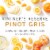 Kendall-Jackson® Vintner's Reserve Pinot Gris White Wine Perspective: left