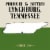 Jack Daniel's Tennessee Apple Whiskey Specialty Perspective: left