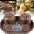 Nostalgia Double Flavor Ice Cream Maker Perspective: left