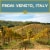Bella Sera Pinot Grigio Italian White Wine Perspective: left