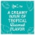 Rum Chata Coconut Cream Liqueur Perspective: left