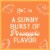 Rum Chata Pineapple Cream Liqueur Perspective: left