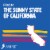 Barefoot Cellars Merlot California Red Wine Perspective: left